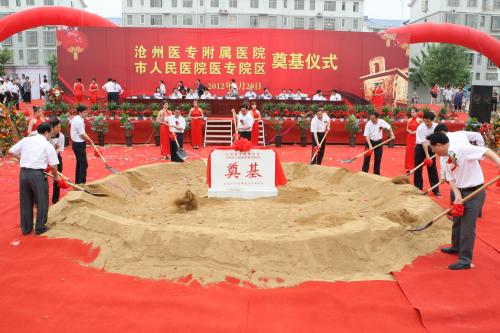 发展阶段2008-至今