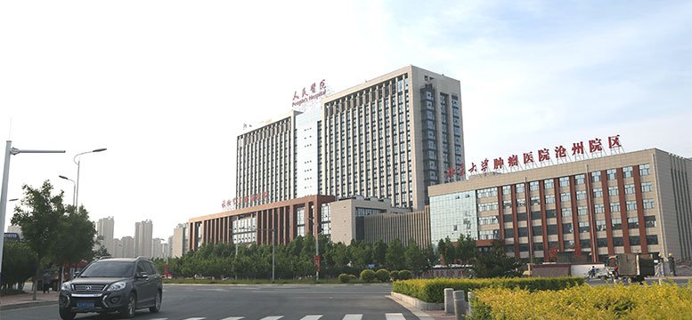 天 使 之 歌