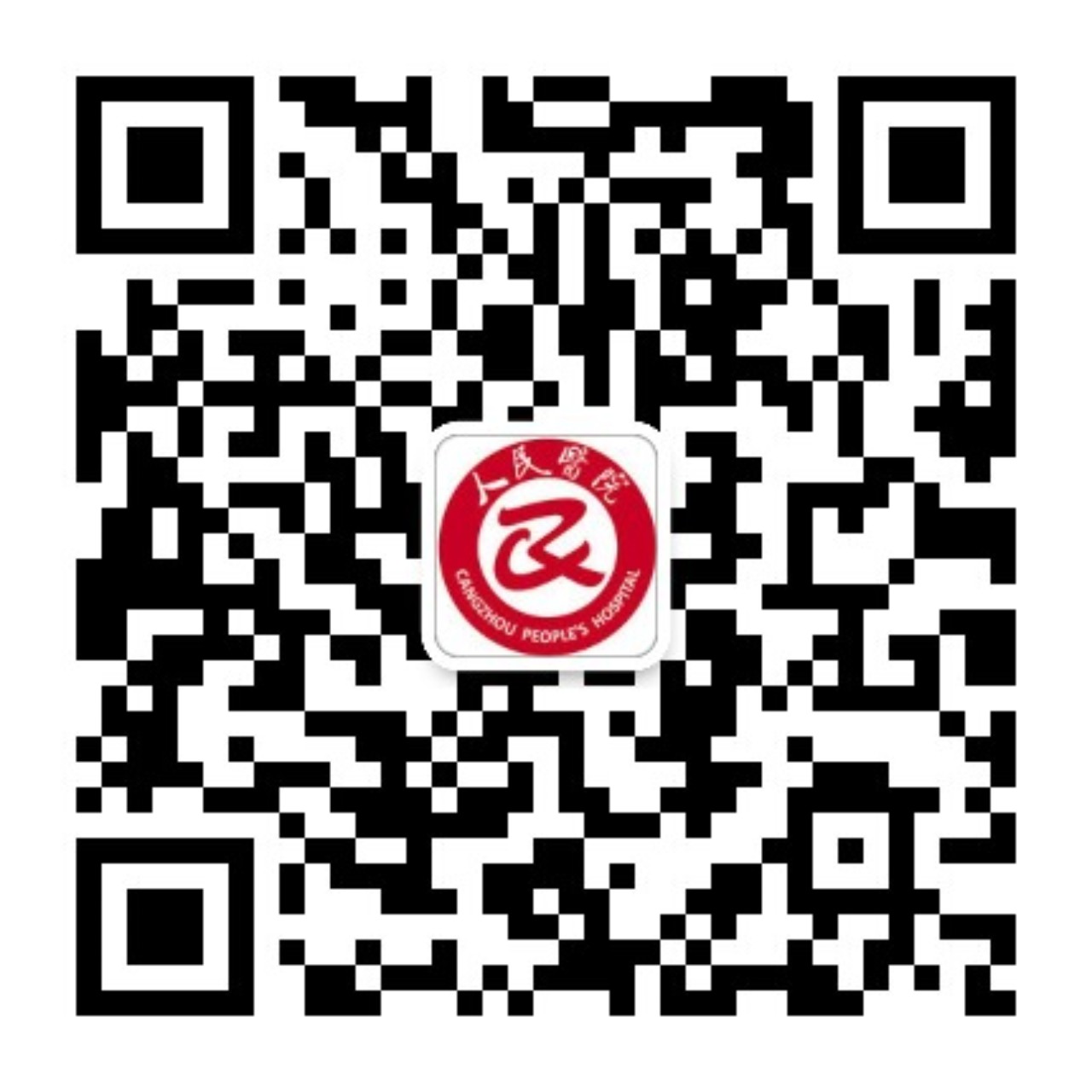 0317-3521004
