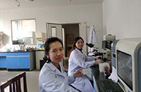浏览全部科室荣誉