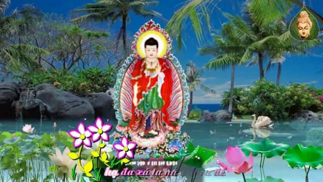 tuyen tap nhac kinh phat giao vi