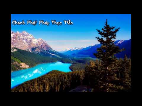 anh sang phat phap phat tu nghe