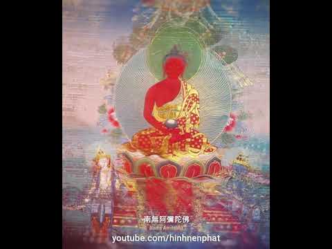 nhac niem phat moi nam mo a di d