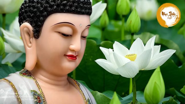 nhac thien tinh tam thanh tinh b